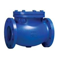 RD30 Корпус/диск - чугун РN16 (Тмакс 300 С)